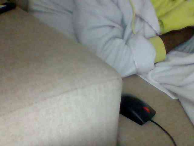 Dollie webcam