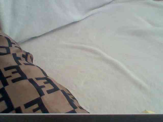 Dollie webcam