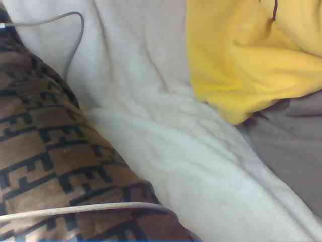 Dollie webcam