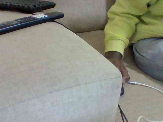Dollie webcam