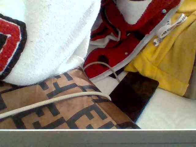 Dollie webcam