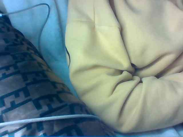 Dollie webcam