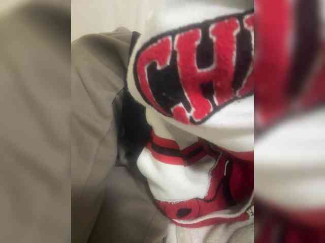 Dollie webcam