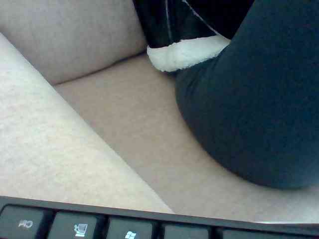 Dollie webcam