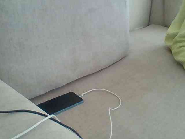 Dollie webcam