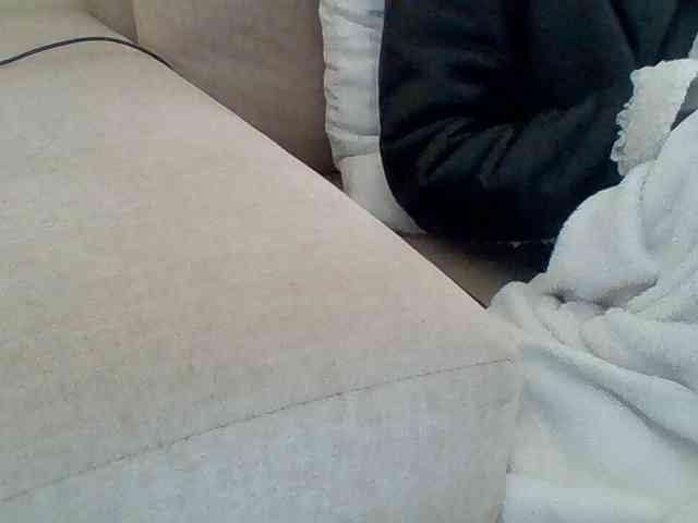 Dollie webcam