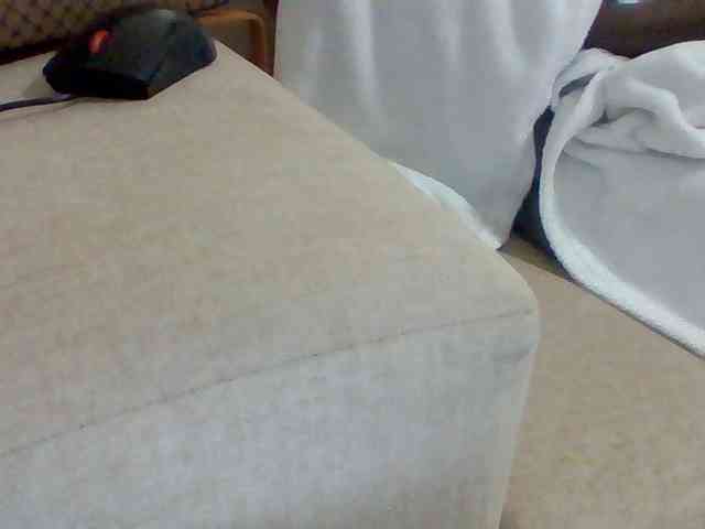 Dollie webcam