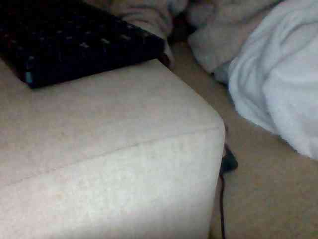 Dollie webcam