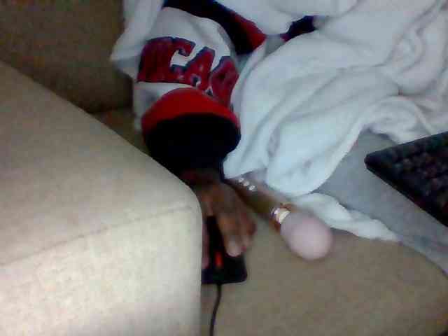 Dollie webcam
