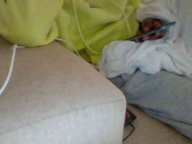 Dollie webcam