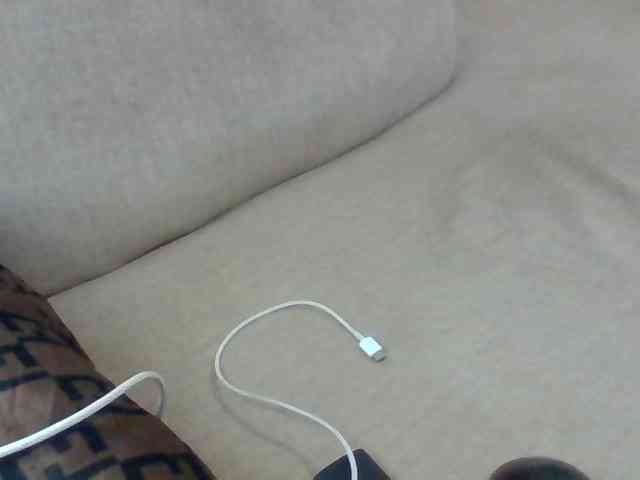 Dollie webcam