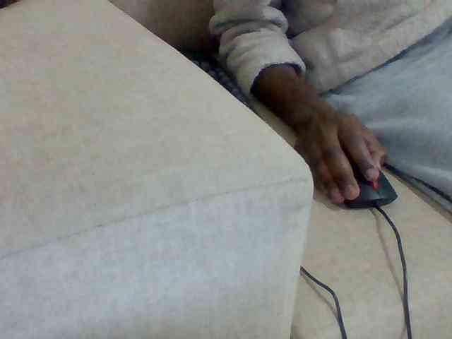 Dollie webcam