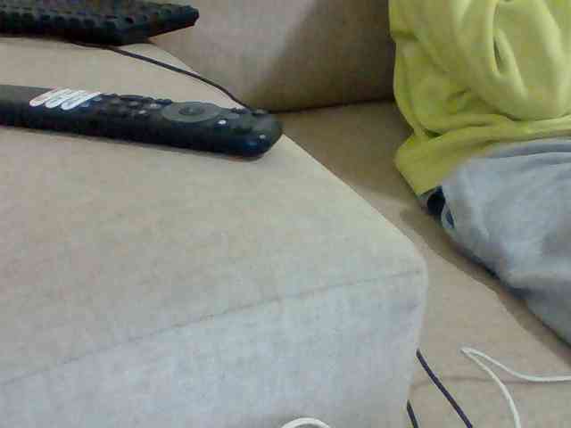Dollie webcam