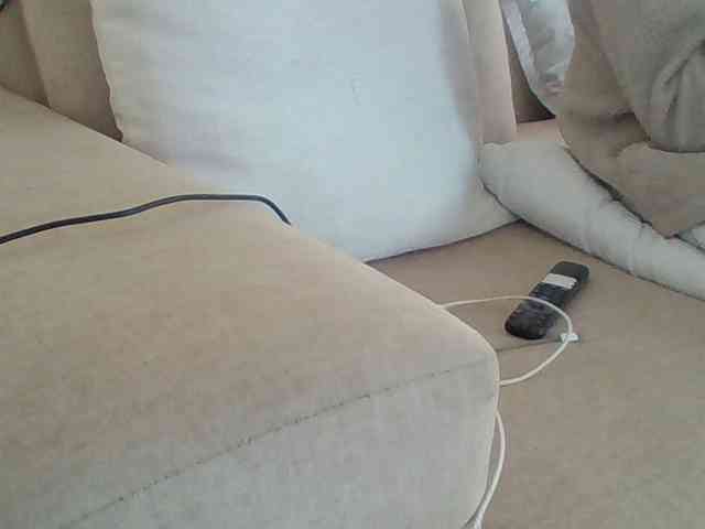 Dollie webcam