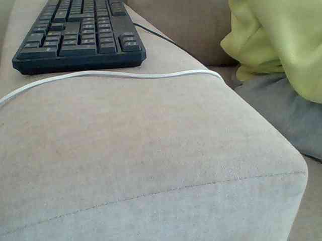 Dollie webcam