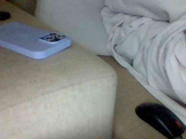 Dollie webcam