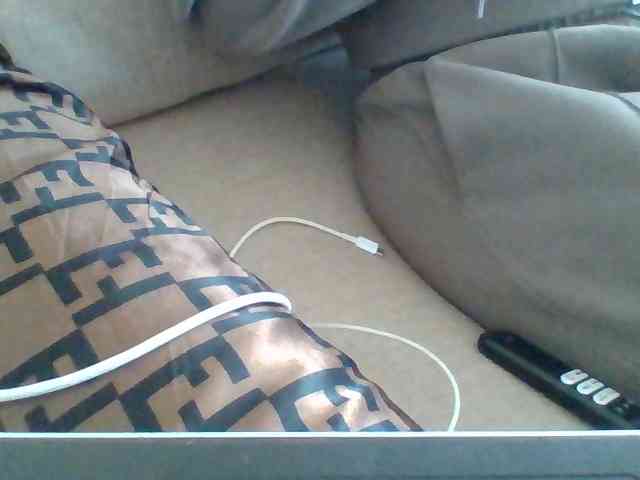 Dollie webcam