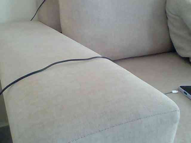 Dollie webcam