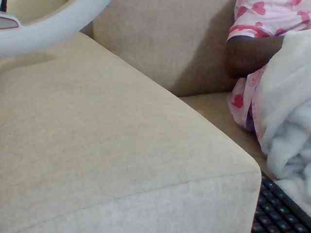 Dollie webcam