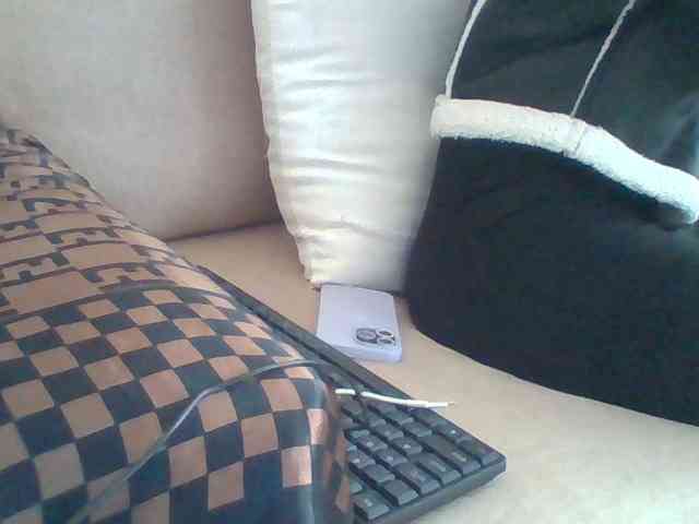 Dollie webcam