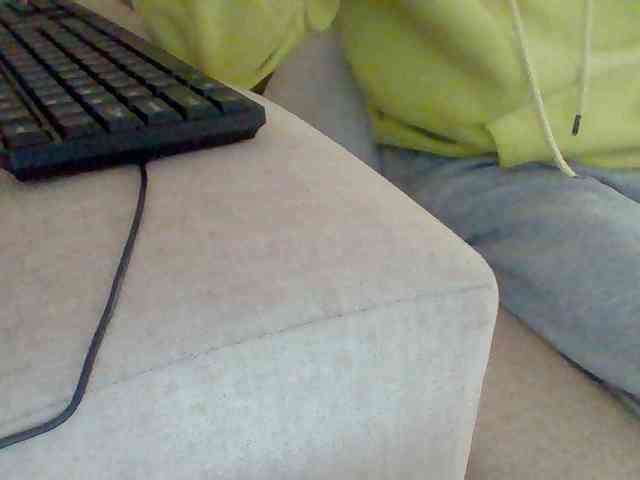Dollie webcam