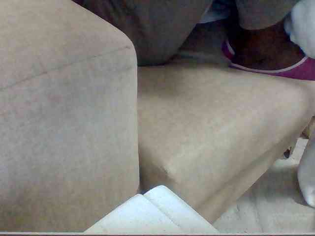 Dollie webcam