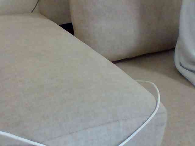 Dollie webcam
