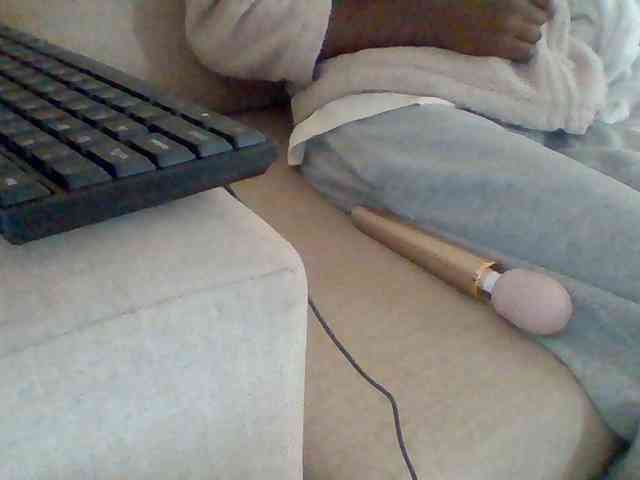 Dollie webcam