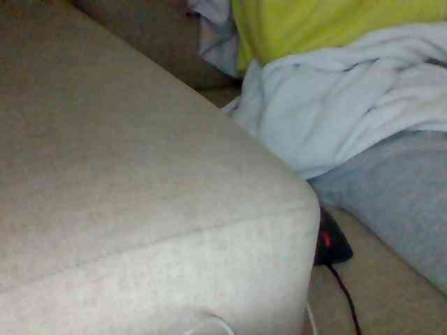 Dollie webcam