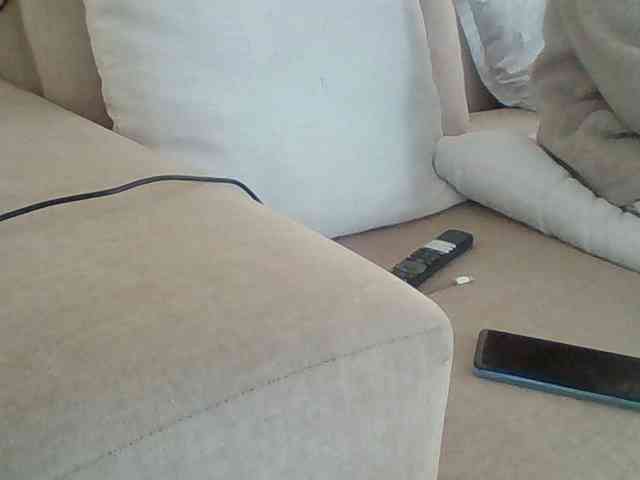 Dollie webcam