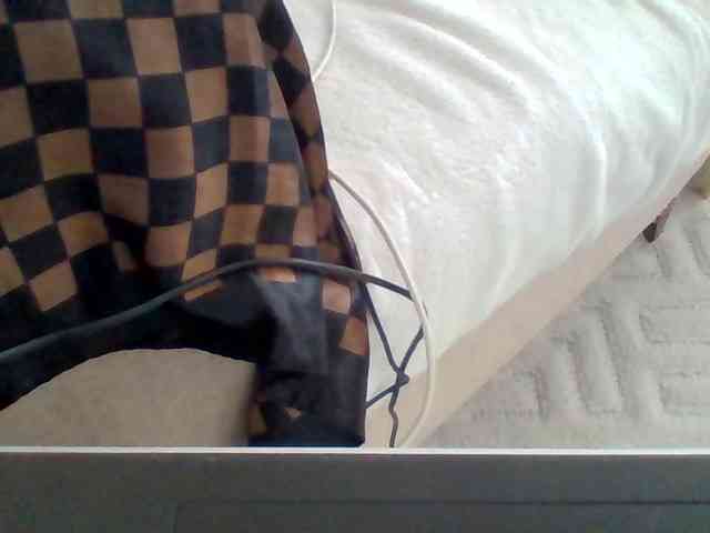 Dollie webcam