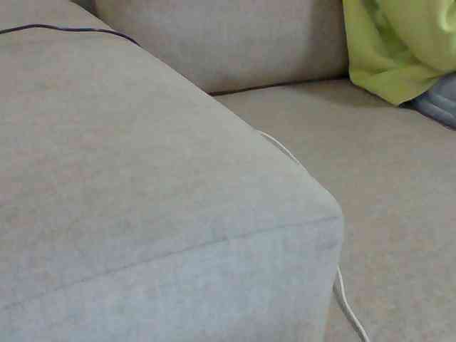 Dollie webcam