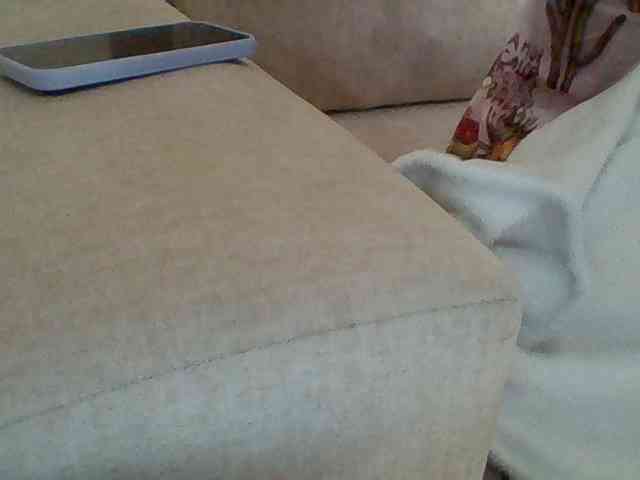 Dollie webcam