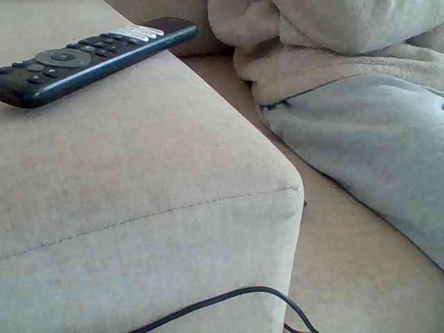 Dollie webcam