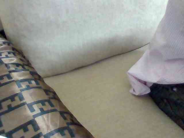 Dollie webcam