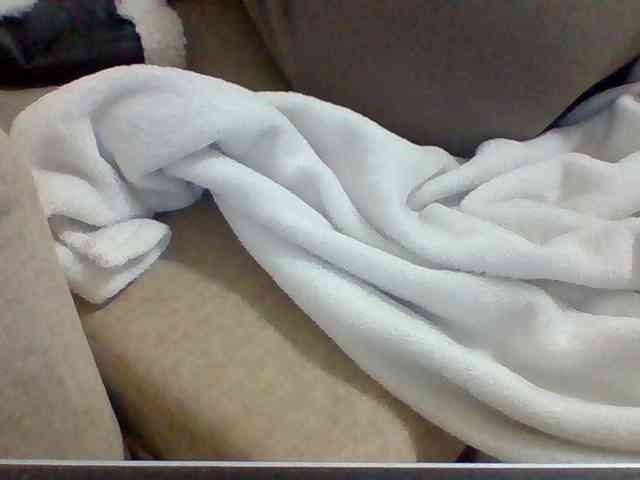 Dollie webcam