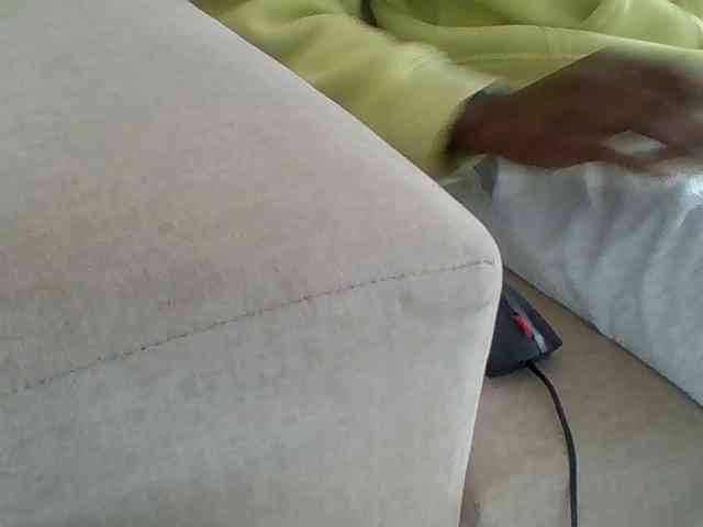 Dollie webcam
