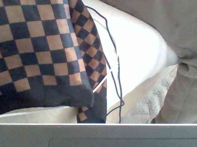 Dollie webcam