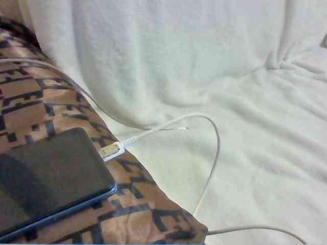 Dollie webcam