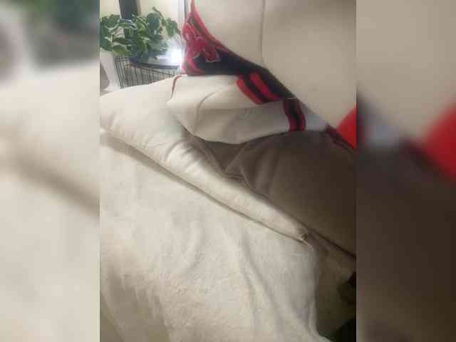 Dollie webcam