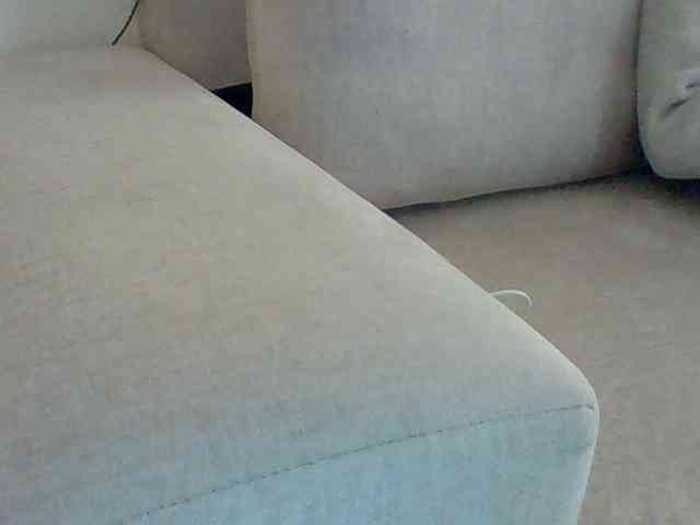 Dollie webcam