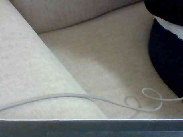 Dollie webcam