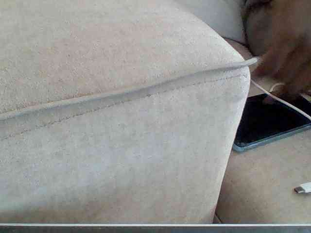 Dollie webcam