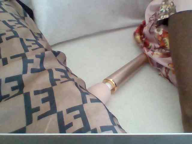 Dollie webcam