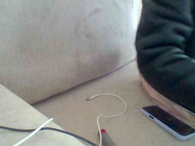 Dollie webcam