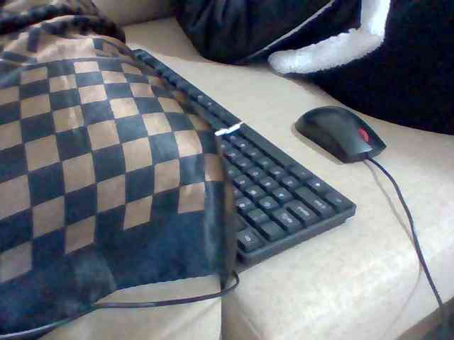 Dollie webcam