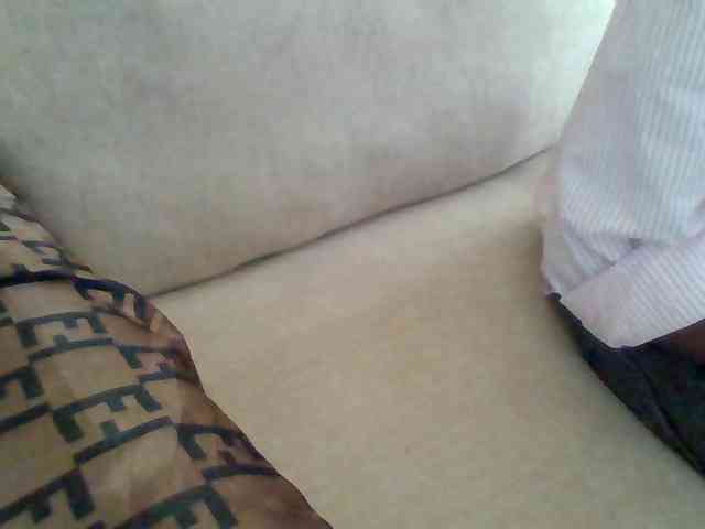 Dollie webcam