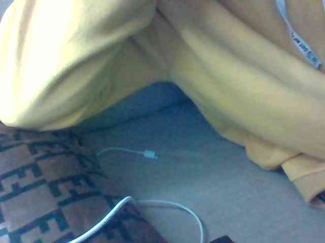Dollie webcam