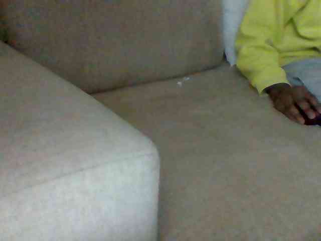 Dollie webcam
