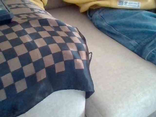 Dollie webcam